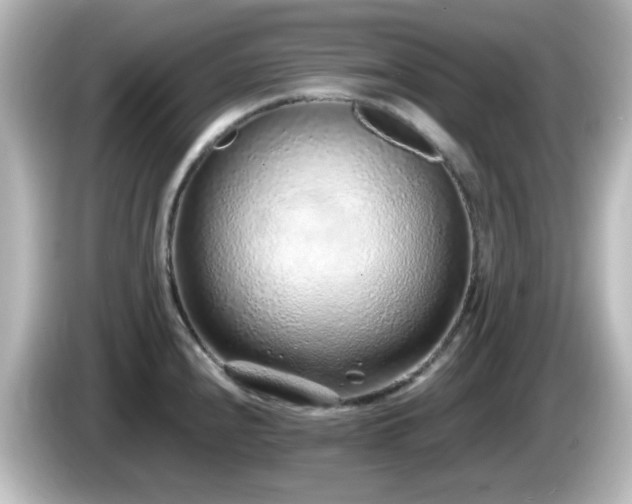 X0000085781240200703161158