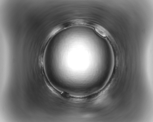 X0000085781241200703161158