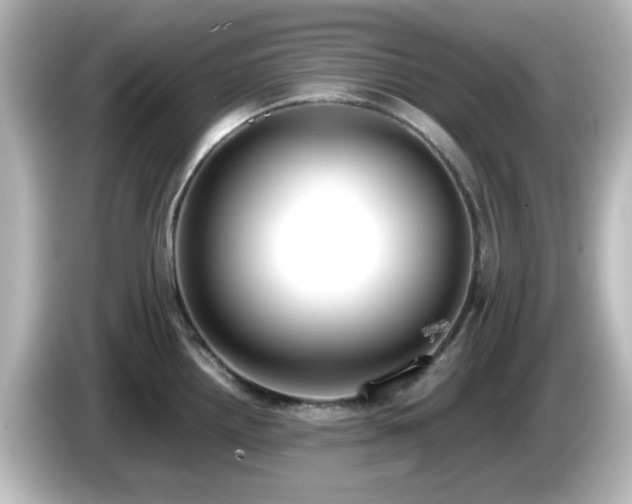 X0000085781242200703161158