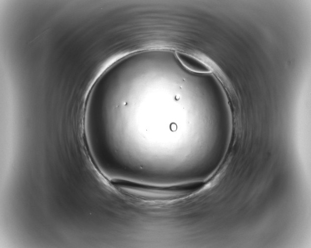 X0000085781244200703161158
