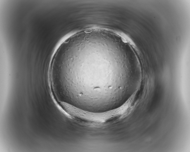 X0000085781247200703161158