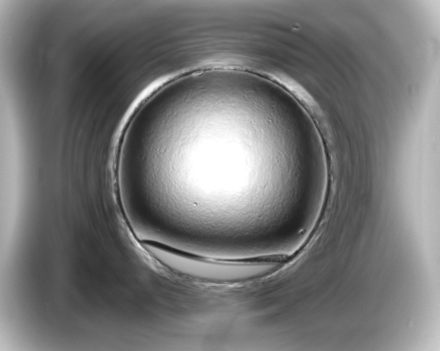 X0000085781248200703161158