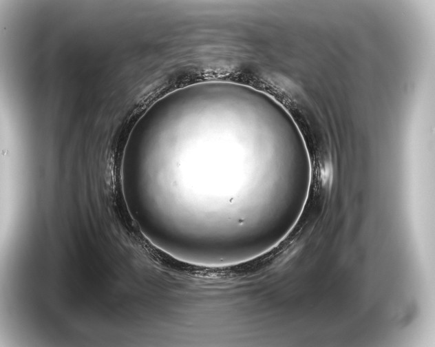 X0000085781252200703161157