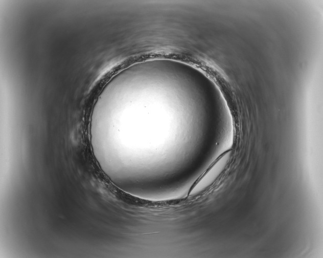 X0000085781256200703161157