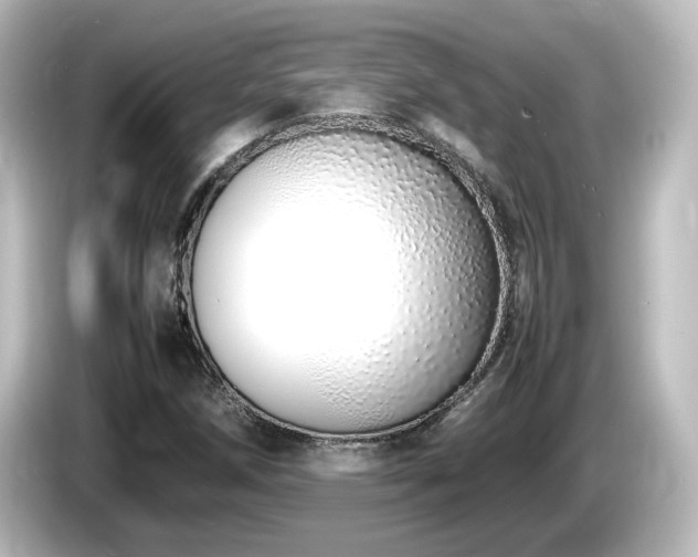 X0000085781258200703161157