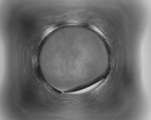 X0000085781259200703161157