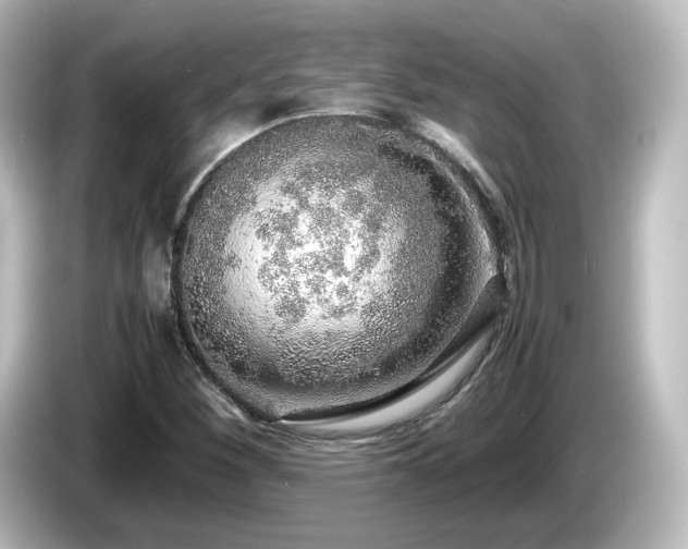 X0000085781260200703161157