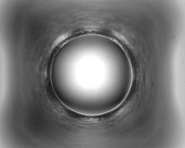 X0000085781261200703161157