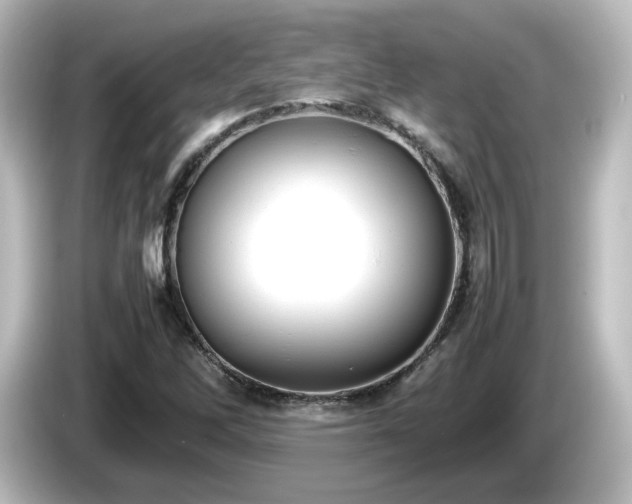 X0000085781262200703161157
