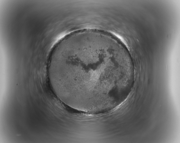 X0000085781263200703161157