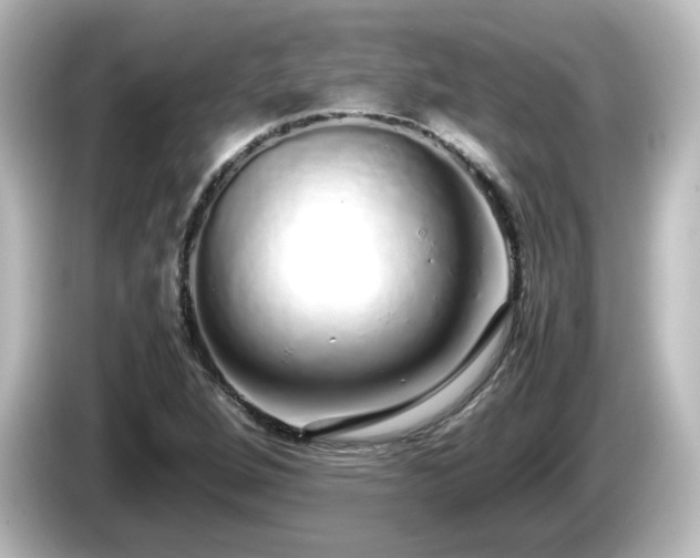 X0000085781264200703161157