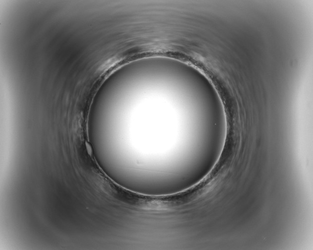 X0000085781265200703161157