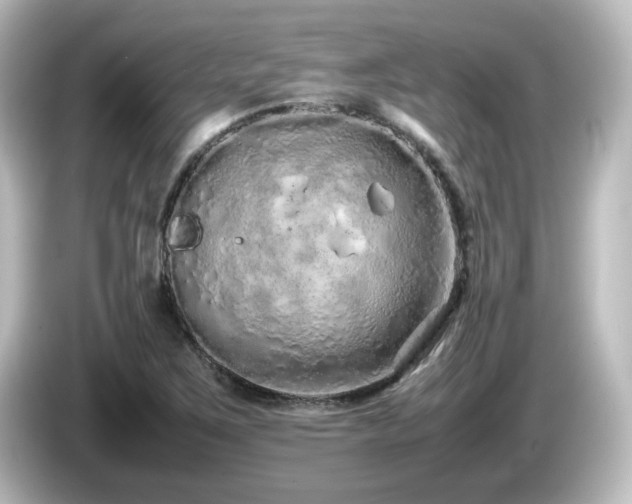 X0000085781267200703161157