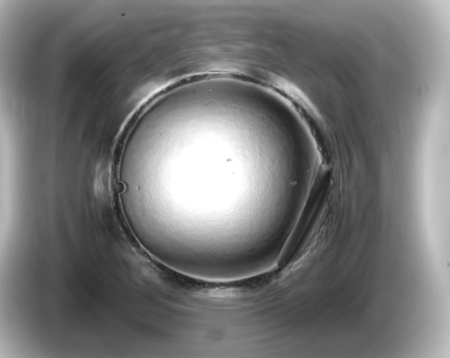X0000085781268200703161157