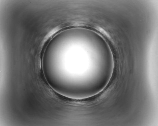 X0000085781269200703161157