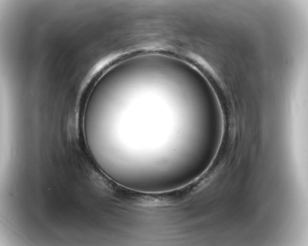 X0000085781270200703161157