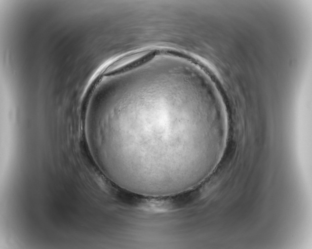 X0000085781271200703161157