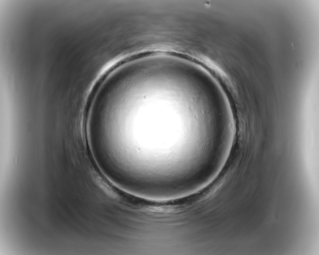 X0000085781272200703161157