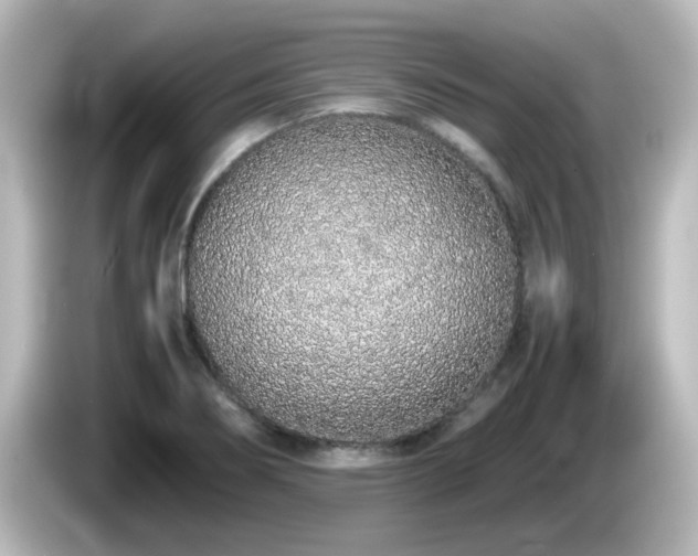 X0000085781274200703161157
