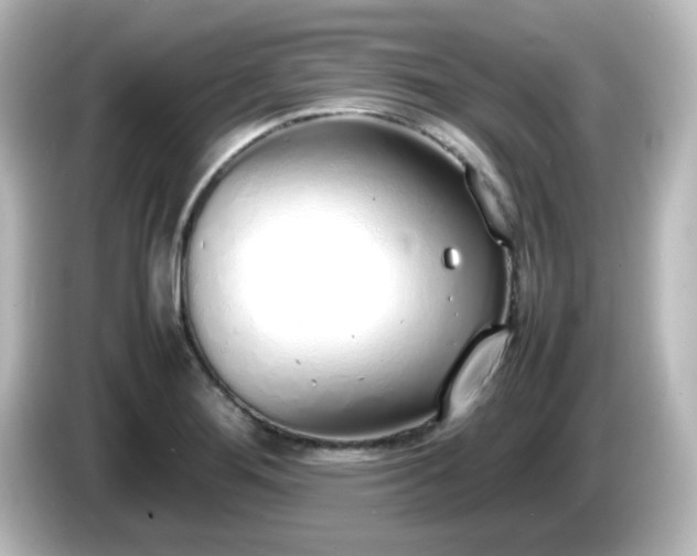 X0000085781276200703161157