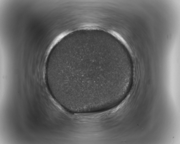 X0000085781277200703161157