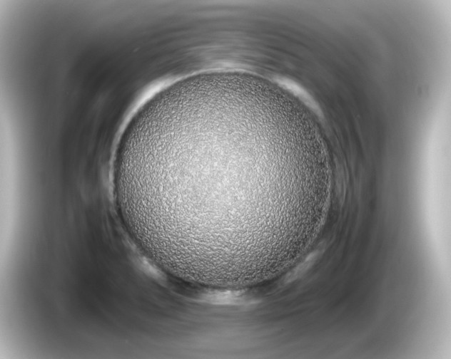 X0000085781278200703161157