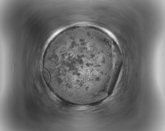 X0000085781279200703161157