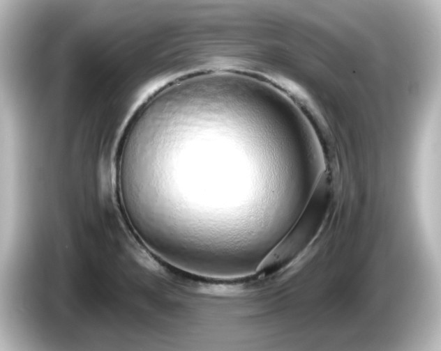 X0000085781280200703161157