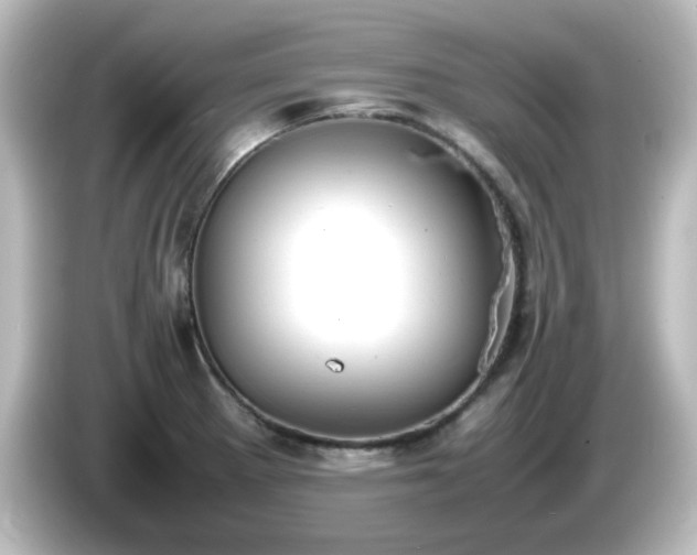 X0000085781281200703161157