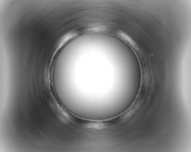 X0000085781282200703161157
