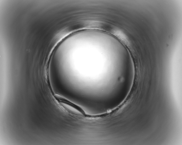 X0000085781284200703161157
