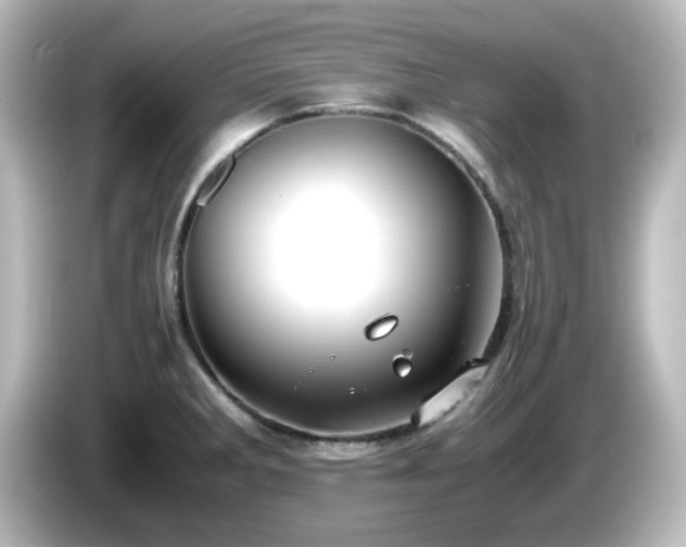 X0000085781285200703161157