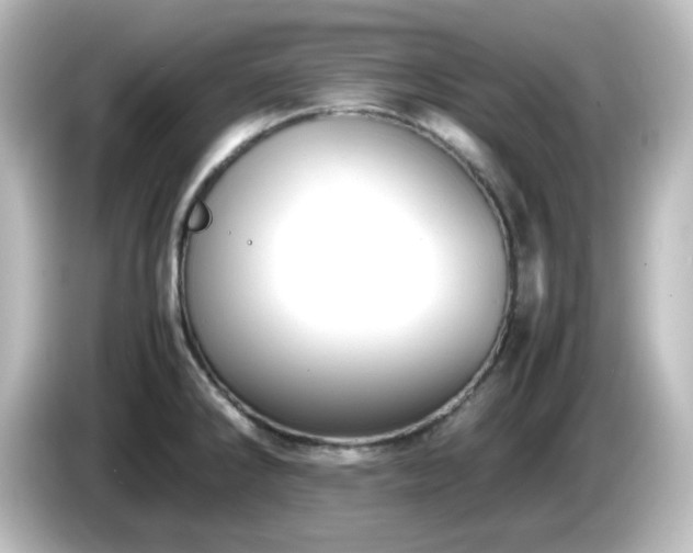 X0000085781286200703161157