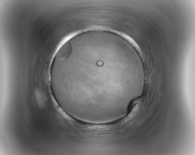 X0000085781287200703161157