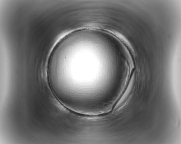 X0000085781288200703161157