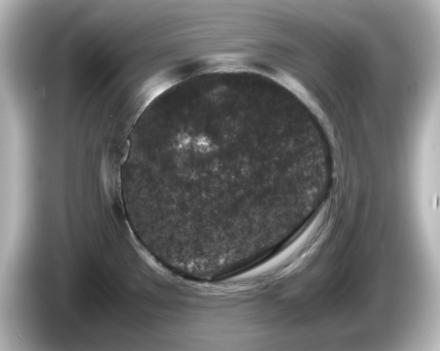 X0000085781289200703161157