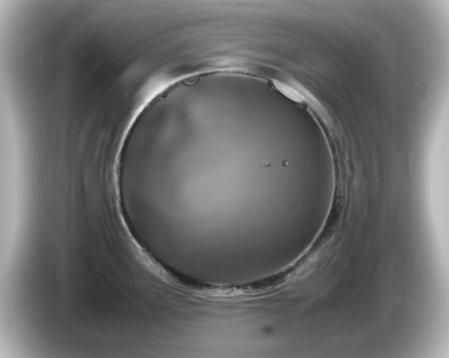X0000085781291200703161157