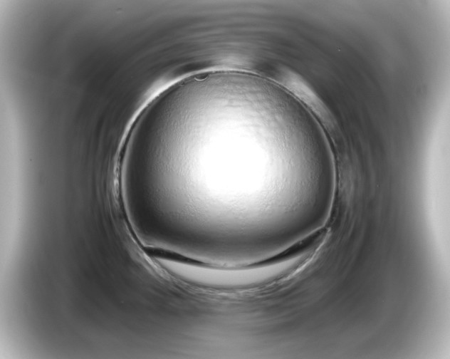 X0000085781292200703161157