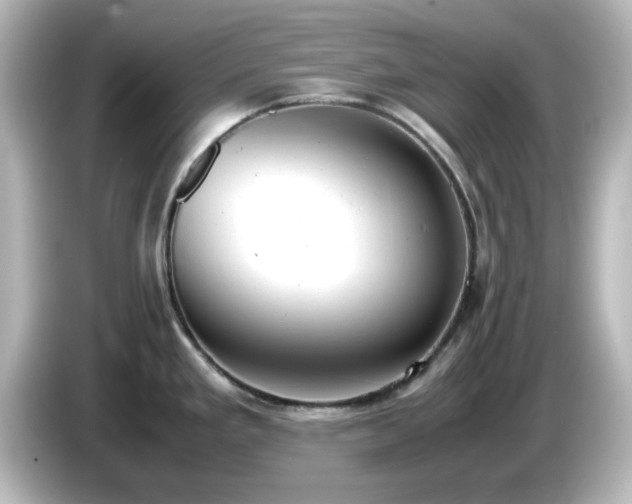 X0000085781293200703161157