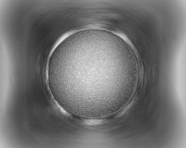 X0000085781294200703161156