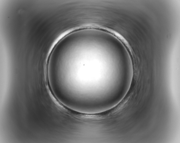 X0000085781295200703161156