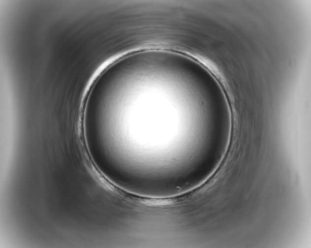 X0000085781296200703161156