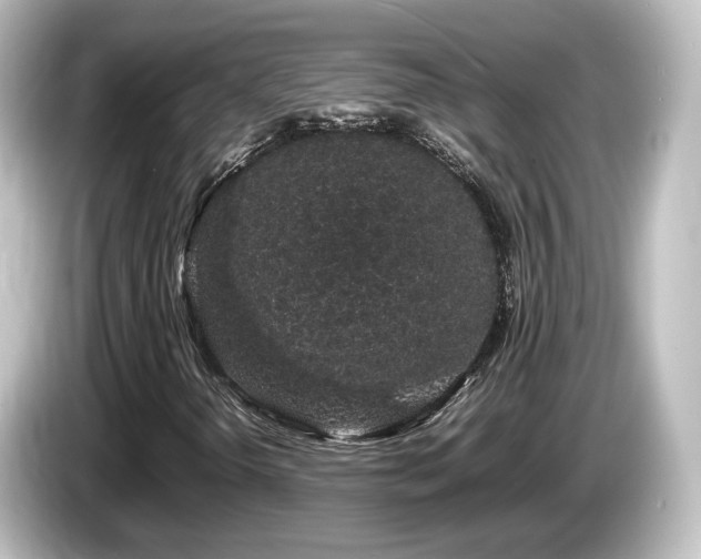 X0000085781298200703161156