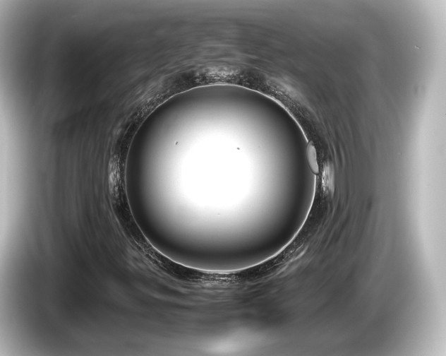 X0000085781299200703161156