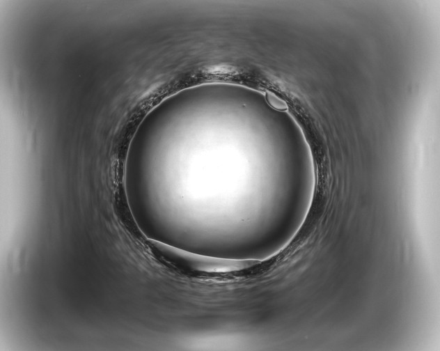 X0000085781301200703161156