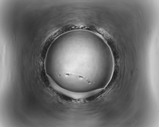 X0000085781302200703161156