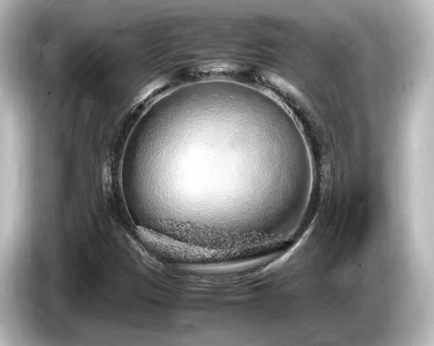 X0000085781305200703161156