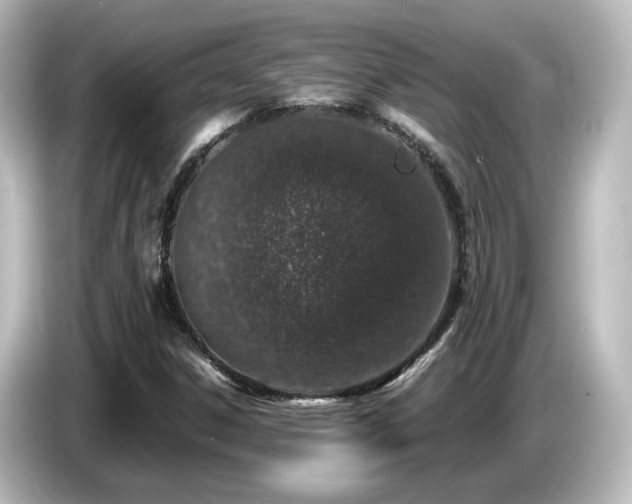 X0000085781306200703161156