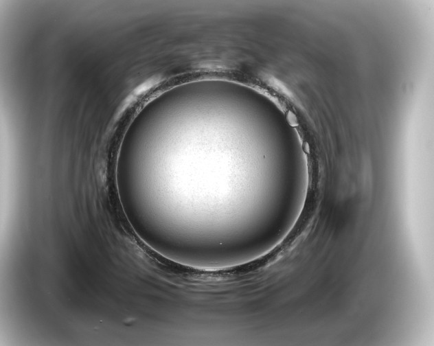 X0000085781307200703161156