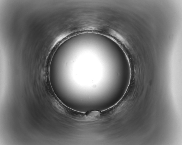 X0000085781308200703161156